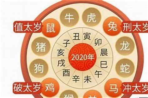 1974虎男2023|1974属虎2023年运势如何 1974属虎2023年运势完整版